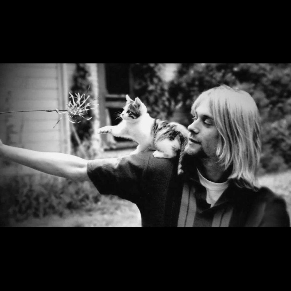 Meet your Posher, Ann